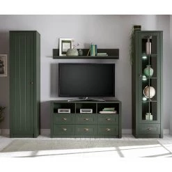 Ridgevalley Meubles TV muraux Beauville II ( 4 él.) - Vert mousse / Doré